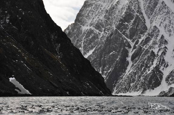 A paisagem escarpada de Cape Lookout, em Elephant Island, na Antártida
